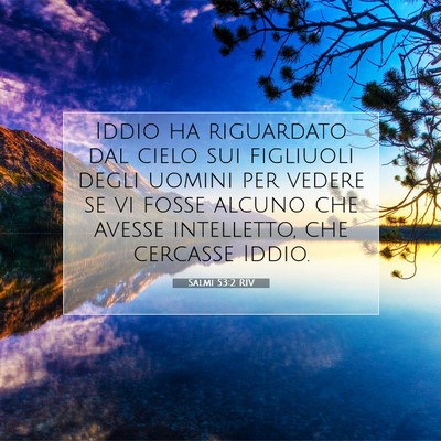 Salmi 53:2 RIV Immagine del Versetto della Bibbia