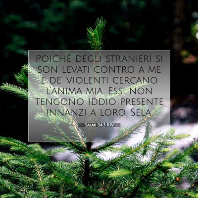 Salmi 54:3 Versetto della Bibbia Spiegato