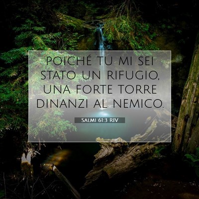 Salmi 61:3 RIV Immagine del Versetto della Bibbia