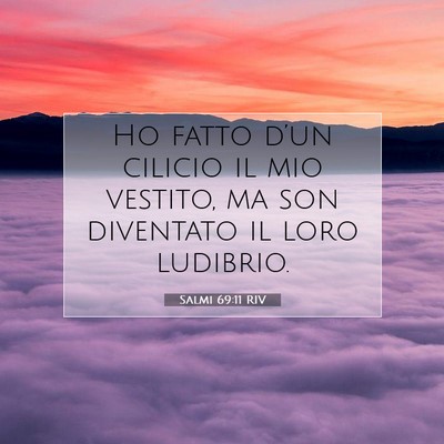Salmi 69:11 RIV Immagine del Versetto della Bibbia