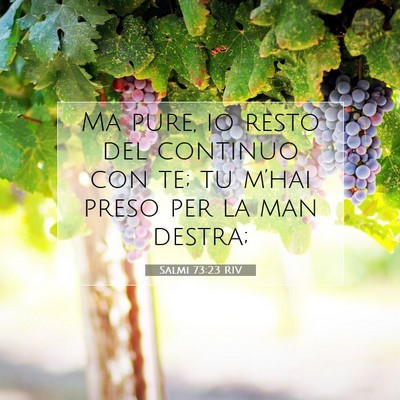 Salmi 73:23 RIV Immagine del Versetto della Bibbia