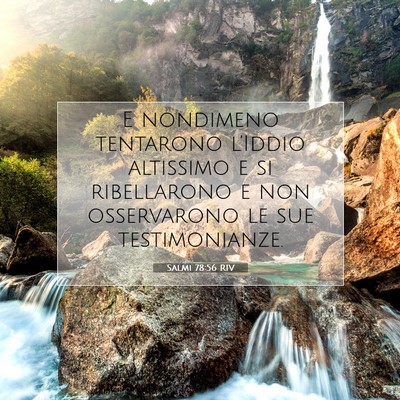 Salmi 78:56 RIV Immagine del Versetto della Bibbia