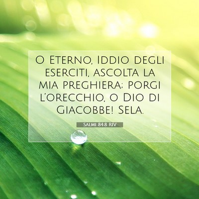 Salmi 84:8 RIV Immagine del Versetto della Bibbia