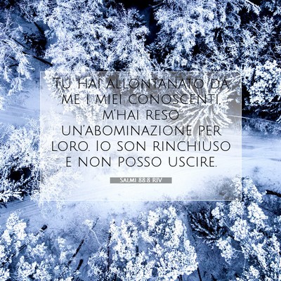 Salmi 88:8 RIV Immagine del Versetto della Bibbia