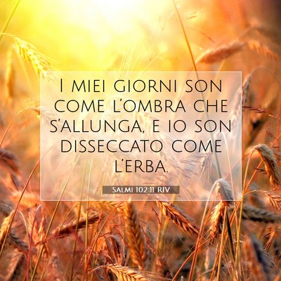 Salmi 102:11 Versetto della Bibbia Spiegato