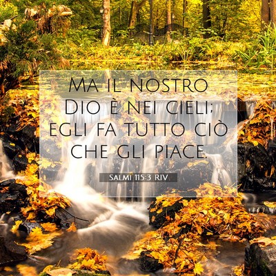 Salmi 115:3 Versetto della Bibbia Spiegato