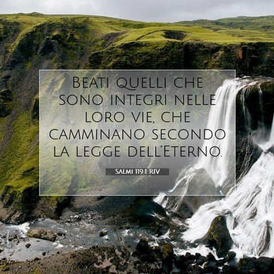 Salmi 119:1 Versetto della Bibbia Spiegato