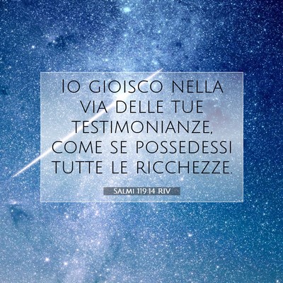 Salmi 119:14 Versetto della Bibbia Spiegato