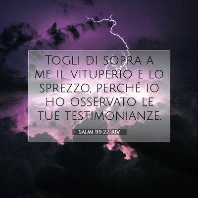 Salmi 119:22 Versetto della Bibbia Spiegato