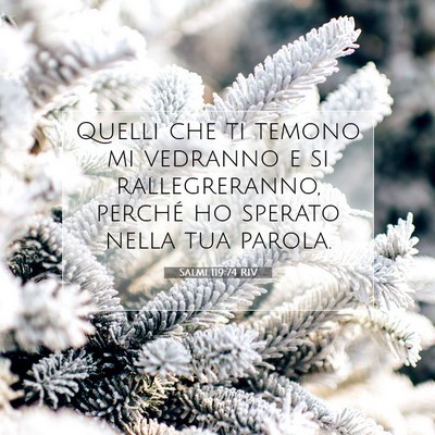 Salmi 119:74 Versetto della Bibbia Spiegato