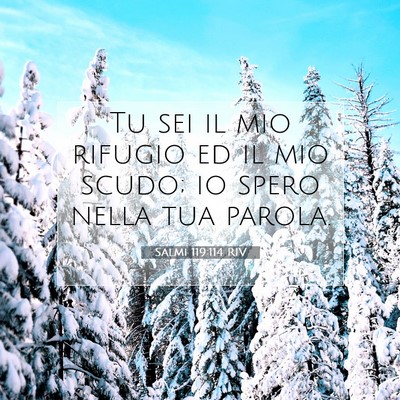 Salmi 119:114 Versetto della Bibbia Spiegato