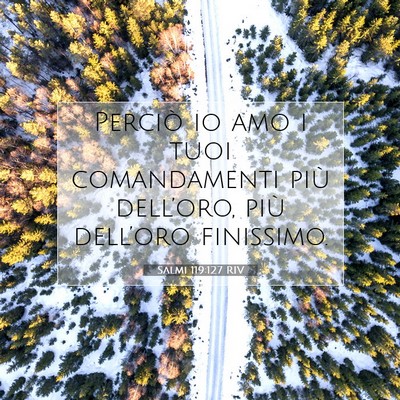 Salmi 119:127 Versetto della Bibbia Spiegato
