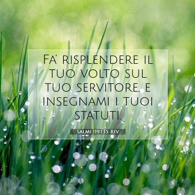 Salmi 119:135 Versetto della Bibbia Spiegato