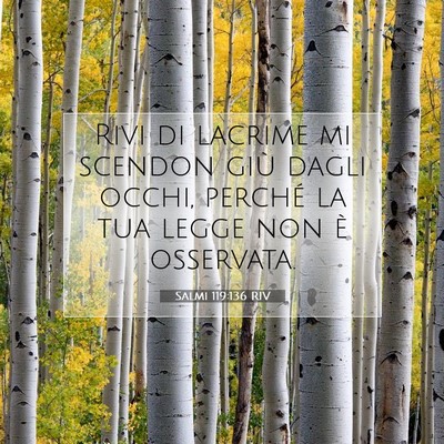 Salmi 119:136 Versetto della Bibbia Spiegato