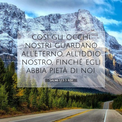 Salmi 123:3 RIV Immagine del Versetto della Bibbia