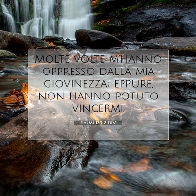 Salmi 129:2 RIV Immagine del Versetto della Bibbia