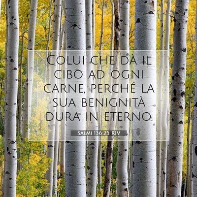 Salmi 136:25 RIV Immagine del Versetto della Bibbia