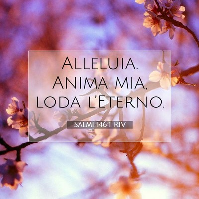 Salmi 146:1 RIV Immagine del Versetto della Bibbia