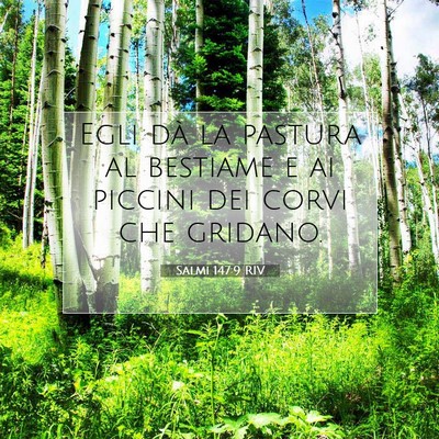 Salmi 147:9 Versetto della Bibbia Spiegato