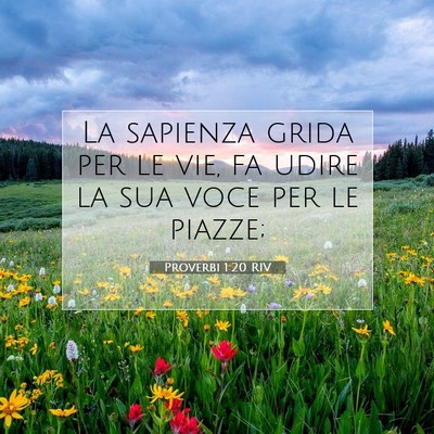 Proverbi 1:20 Versetto della Bibbia Spiegato