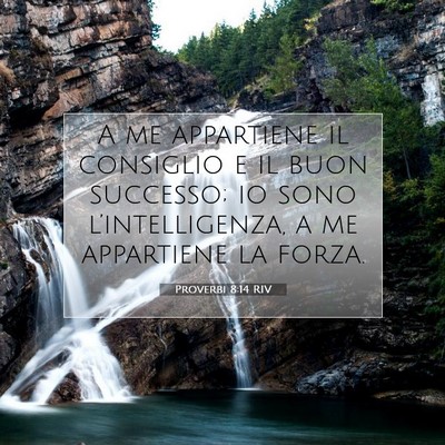 Proverbi 8:14 RIV Immagine del Versetto della Bibbia
