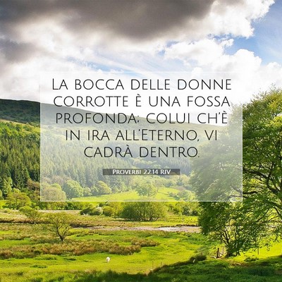 Proverbi 22:14 RIV Immagine del Versetto della Bibbia