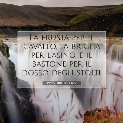Proverbi 26:3 Versetto della Bibbia Spiegato