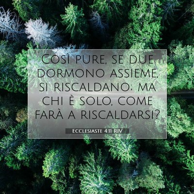 Ecclesiaste 4:11 RIV Immagine del Versetto della Bibbia