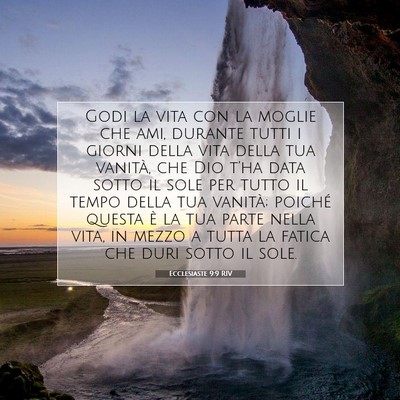 Ecclesiaste 9:9 Versetto della Bibbia Spiegato