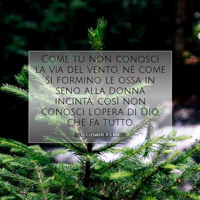 Ecclesiaste 11:5 RIV Immagine del Versetto della Bibbia
