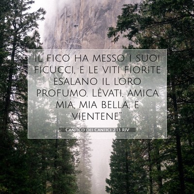 Cantico dei Cantici 2:13 RIV Immagine del Versetto della Bibbia