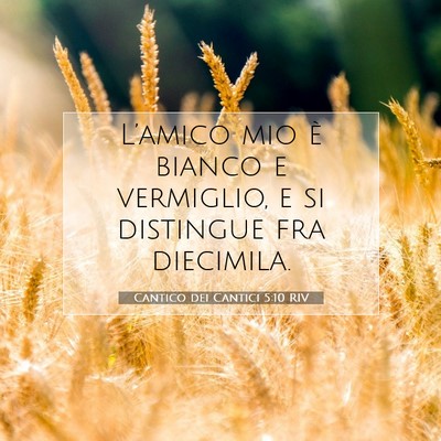 Cantico dei Cantici 5:10 RIV Immagine del Versetto della Bibbia