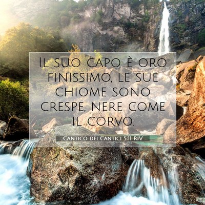 Cantico dei Cantici 5:11 RIV Immagine del Versetto della Bibbia
