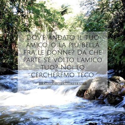 Cantico dei Cantici 6:1 RIV Immagine del Versetto della Bibbia