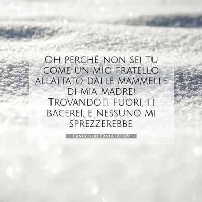 Cantico dei Cantici 8:1 RIV Immagine del Versetto della Bibbia
