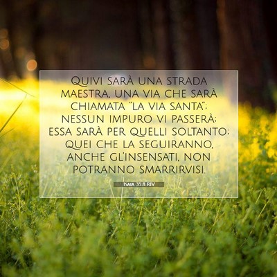 Isaia 35:8 RIV Immagine del Versetto della Bibbia
