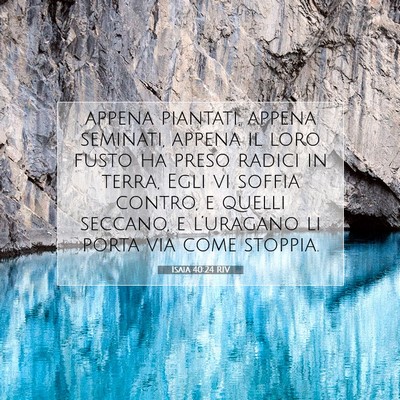 Isaia 40:24 RIV Immagine del Versetto della Bibbia