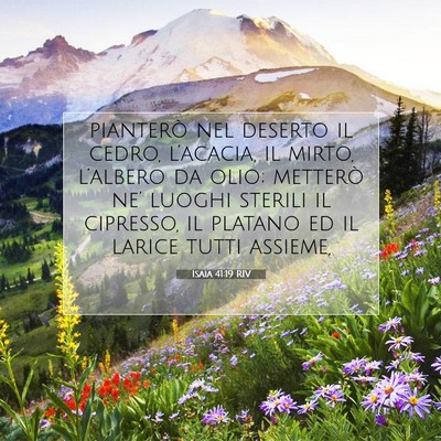 Isaia 41:19 RIV Immagine del Versetto della Bibbia