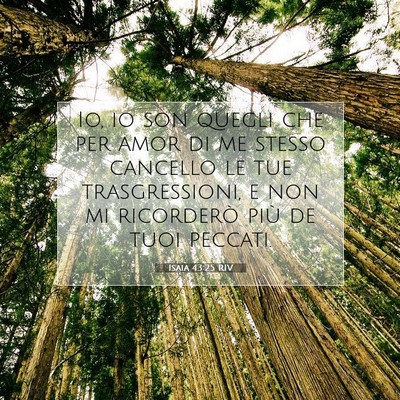 Isaia 43:25 RIV Immagine del Versetto della Bibbia