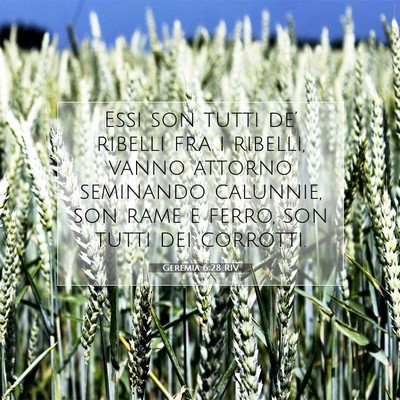 Geremia 6:28 Versetto della Bibbia Spiegato