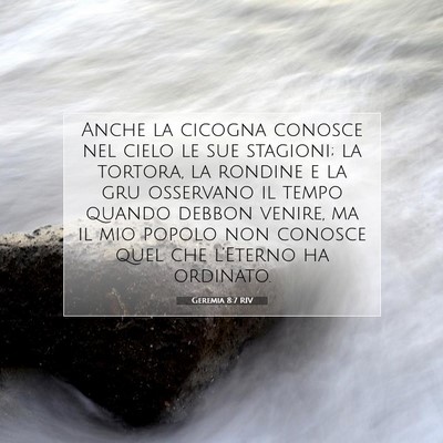 Geremia 8:7 Versetto della Bibbia Spiegato