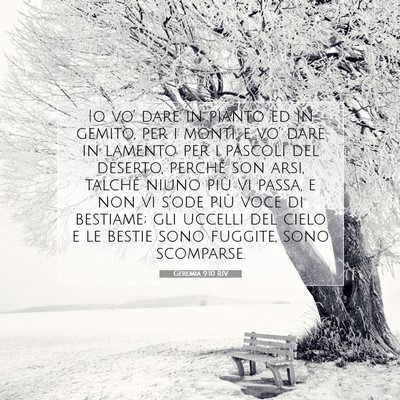 Geremia 9:10 RIV Immagine del Versetto della Bibbia