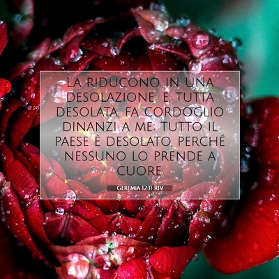 Geremia 12:11 RIV Immagine del Versetto della Bibbia
