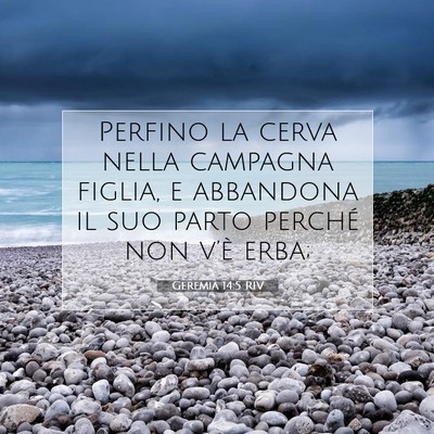 Geremia 14:5 RIV Immagine del Versetto della Bibbia