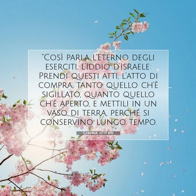 Geremia 32:14 RIV Immagine del Versetto della Bibbia