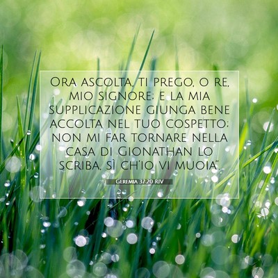 Geremia 37:20 RIV Immagine del Versetto della Bibbia