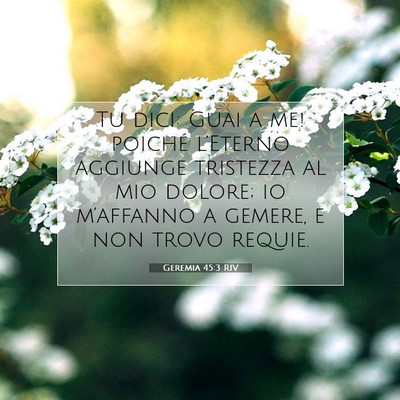 Geremia 45:3 RIV Immagine del Versetto della Bibbia