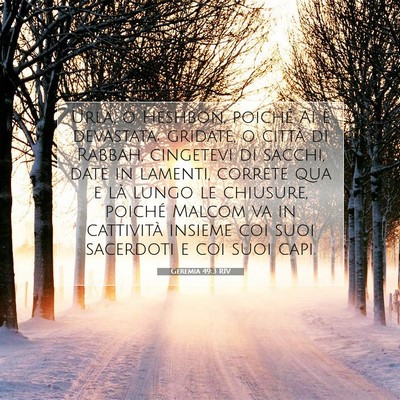 Geremia 49:3 RIV Immagine del Versetto della Bibbia