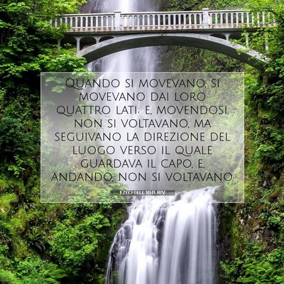 Ezechiele 10:11 RIV Immagine del Versetto della Bibbia