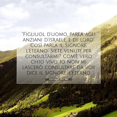 Ezechiele 20:3 RIV Immagine del Versetto della Bibbia